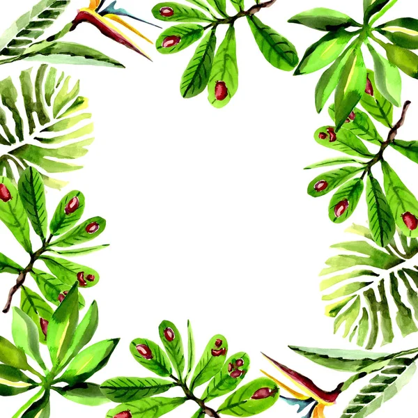 열 대의 하와이 수채화 스타일에서 팜 나무 프레임을 나뭇잎. — 스톡 사진