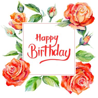 Kır çiçeği gül çiçek çerçeve suluboya tarzında.