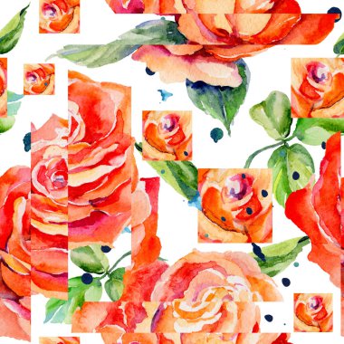 Kır çiçeği gül çiçek deseni suluboya tarzında.