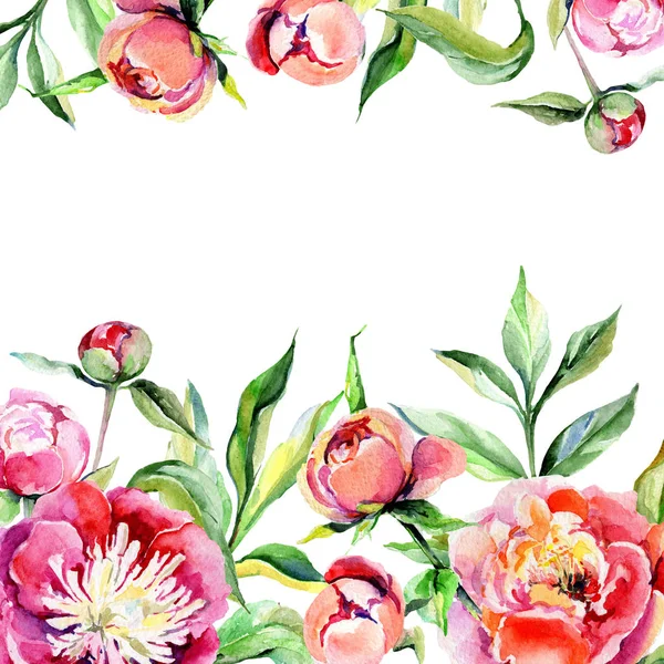 Kır çiçeği Şakayık çiçeği çerçeve suluboya tarzında.