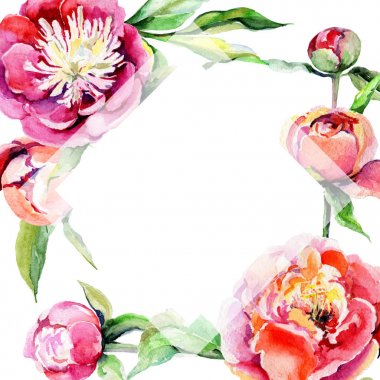 Kır çiçeği Şakayık çiçeği çerçeve suluboya tarzında.