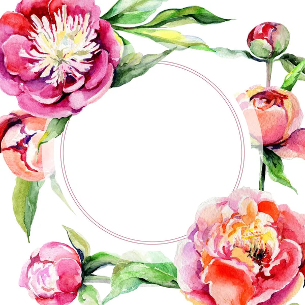 Kır çiçeği Şakayık çiçeği çerçeve suluboya tarzında.