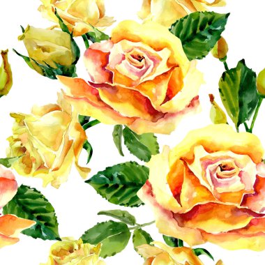 Kır çiçeği gül çiçek deseni suluboya tarzında.