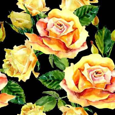 Kır çiçeği gül çiçek deseni suluboya tarzında.