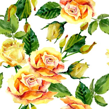 Kır çiçeği gül çiçek deseni suluboya tarzında.