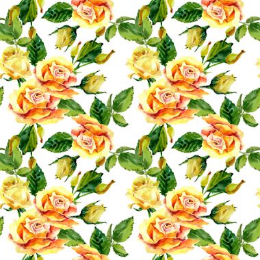 Kır çiçeği gül çiçek deseni suluboya tarzında.