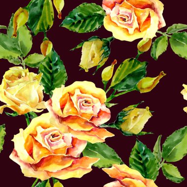 Kır çiçeği gül çiçek deseni suluboya tarzında.