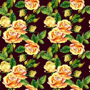 Kır çiçeği gül çiçek deseni suluboya tarzında.