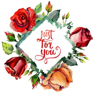 Kır çiçeği gül çiçek çerçeve suluboya tarzında.