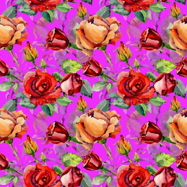 Kır çiçeği gül çiçek deseni suluboya tarzında.