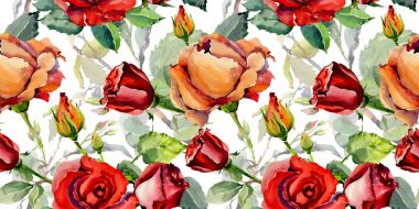 Kır çiçeği gül çiçek deseni suluboya tarzında.