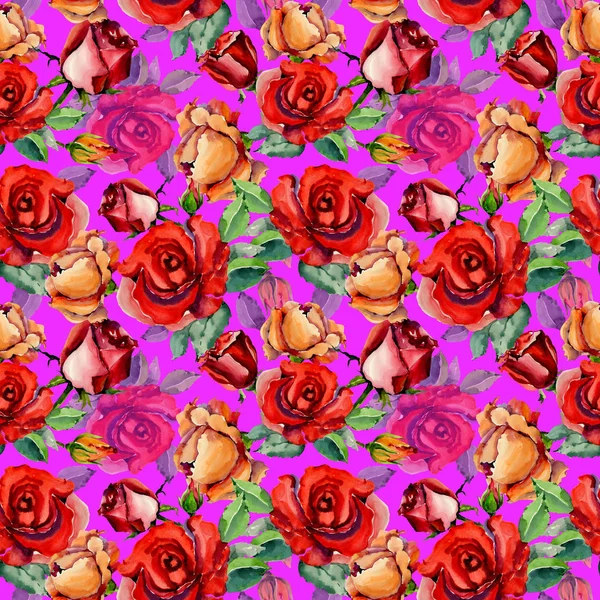 Růžový květ vzor ve stylu akvarelu wildflower. — Stock fotografie