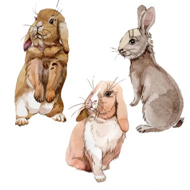 Tavşan vahşi hayvan izole bir suluboya tarzında.