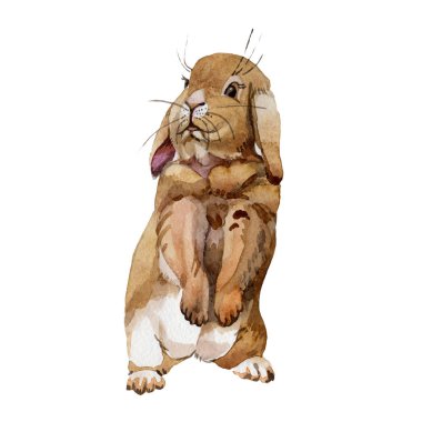 Tavşan vahşi hayvan izole bir suluboya tarzında.