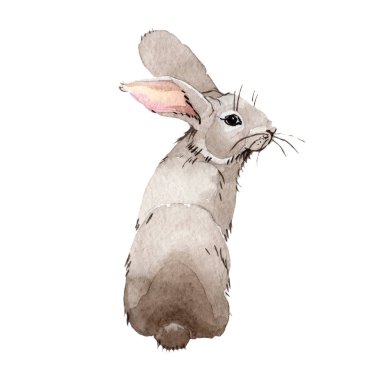 Tavşan vahşi hayvan izole bir suluboya tarzında.