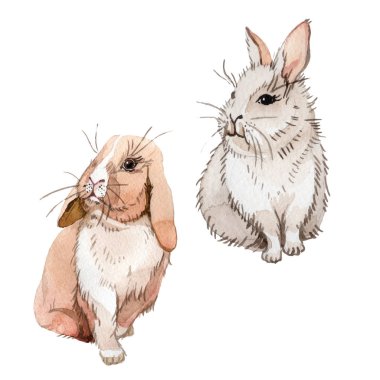 Tavşan vahşi hayvan izole bir suluboya tarzında.
