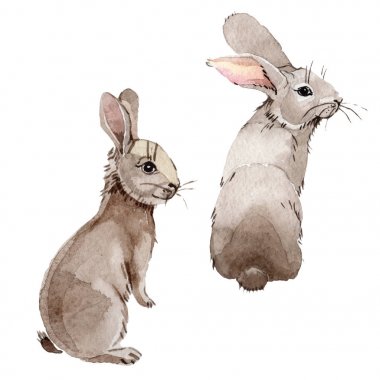Tavşan vahşi hayvan izole bir suluboya tarzında.