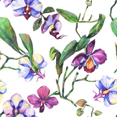 Kır çiçeği orkide çiçek deseni suluboya tarzında.