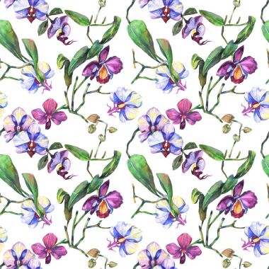 Kır çiçeği orkide çiçek deseni suluboya tarzında.