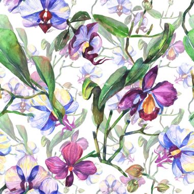 Kır çiçeği orkide çiçek deseni suluboya tarzında.