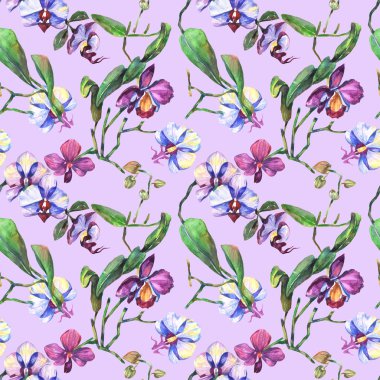 Kır çiçeği orkide çiçek deseni suluboya tarzında.