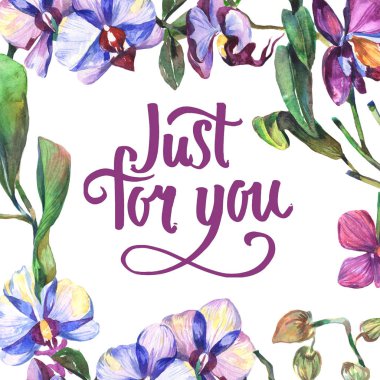 Kır çiçeği orkide çiçek çerçeve suluboya tarzında.