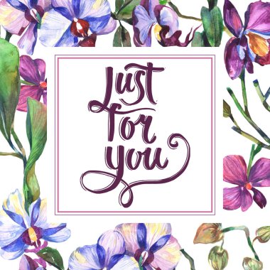 Kır çiçeği orkide çiçek çerçeve suluboya tarzında.