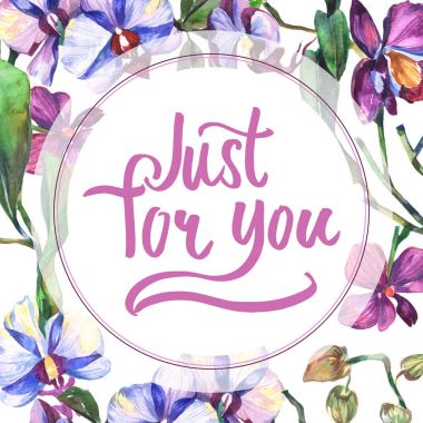 Kır çiçeği orkide çiçek çerçeve suluboya tarzında.