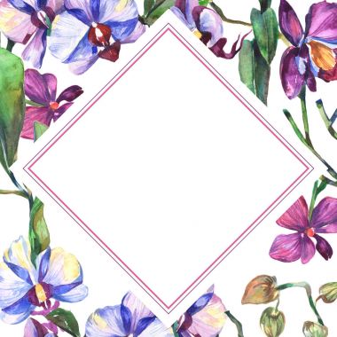 Kır çiçeği orkide çiçek çerçeve suluboya tarzında.