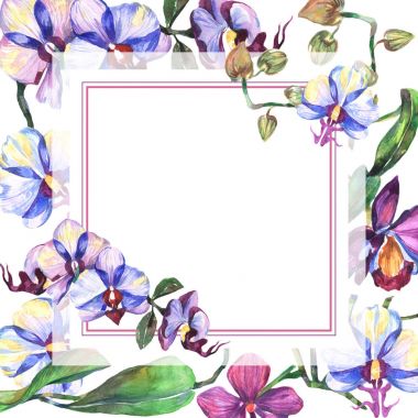 Kır çiçeği orkide çiçek çerçeve suluboya tarzında.