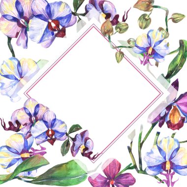 Kır çiçeği orkide çiçek çerçeve suluboya tarzında.