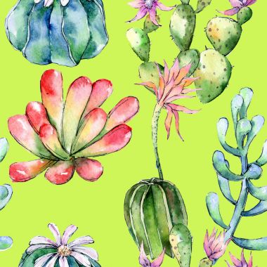 Kır çiçeği kaktüsler çiçek deseni suluboya tarzında.