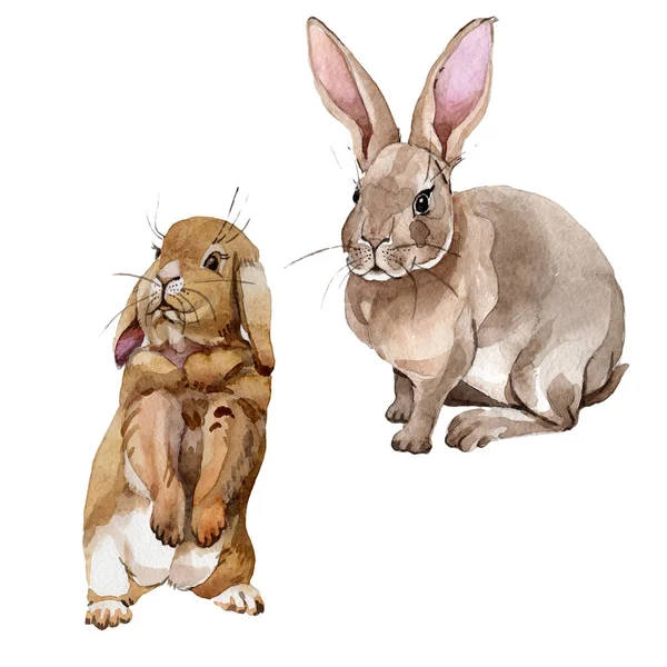Kanin vilda djur i akvarell stil isolerade. — Stockfoto