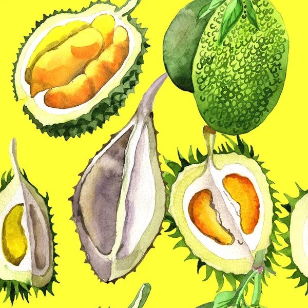 Modello di frutta selvatica durian esotico in stile acquerello . — Foto Stock