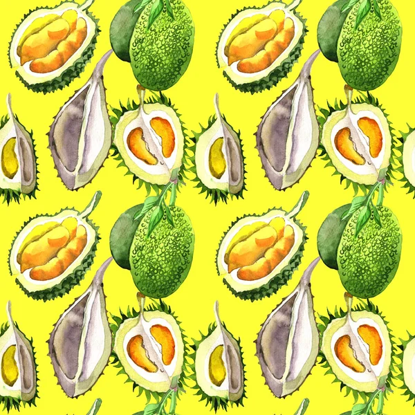 Modèle de fruits sauvages durian exotique dans un style aquarelle . — Photo