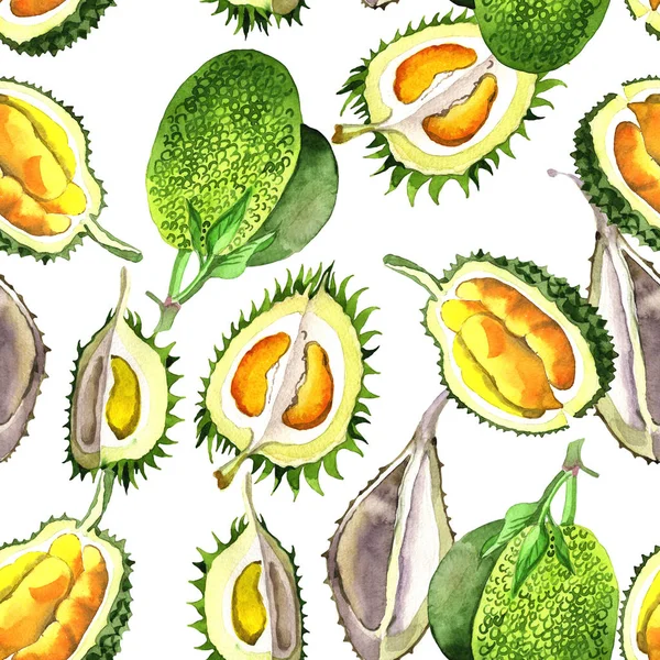 Modello di frutta selvatica durian esotico in stile acquerello . — Foto Stock