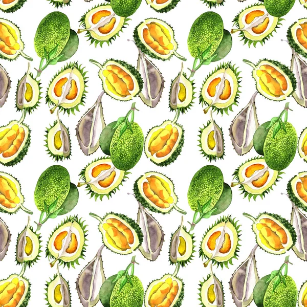 Exotic durian wild fruit pattern in a watercolor style.