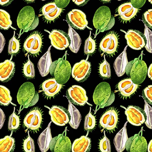 Exotic durian wild fruit pattern in a watercolor style.