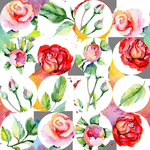Wildflower rosa flower pattern in a watercolor style. — Stock Photo, Image