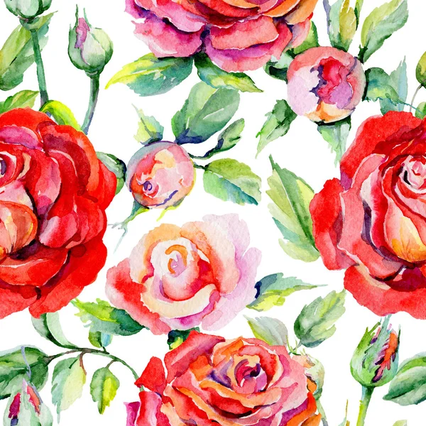 Kır çiçeği rosa çiçek deseni suluboya tarzında.