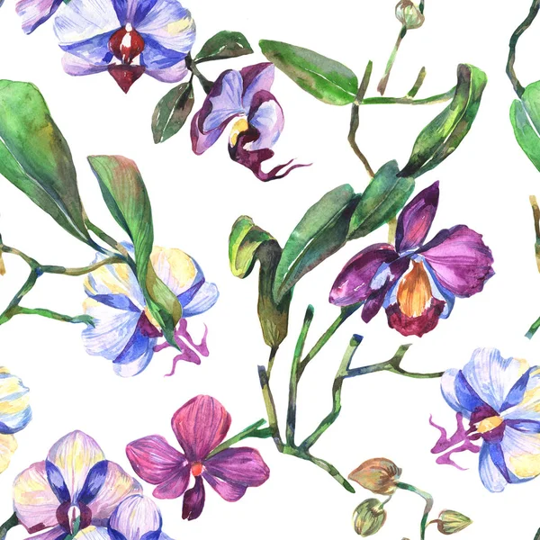Kır çiçeği orkide çiçek deseni suluboya tarzında.