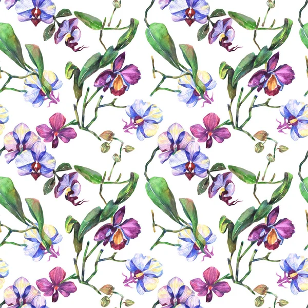 水彩画のワイルドフラワー蘭の花のパターン. — ストック写真