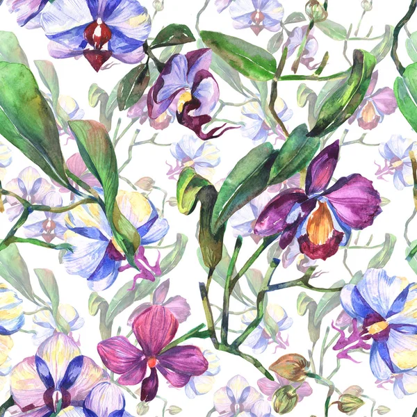 Kır çiçeği orkide çiçek deseni suluboya tarzında.