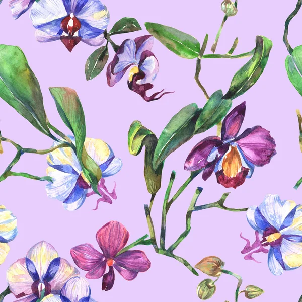 Wildblumen-Orchideen-Blumenmuster im Aquarell-Stil. — Stockfoto