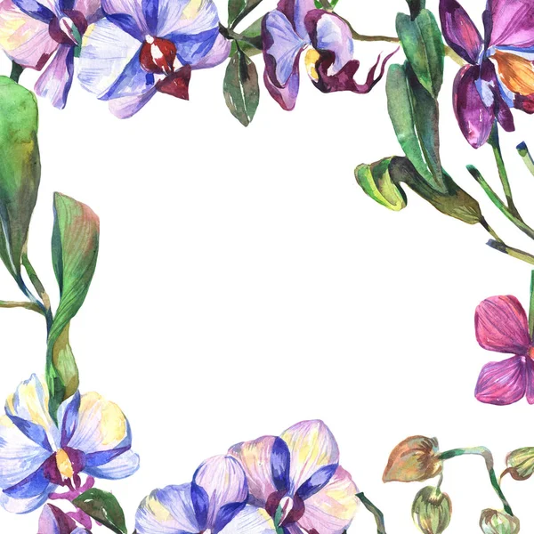 Wildflower orkidé ram i akvarell stil. — Stockfoto