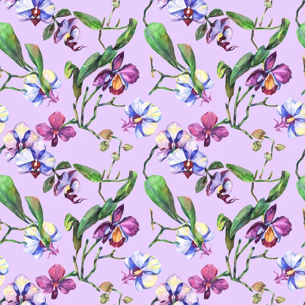 Kır çiçeği orkide çiçek deseni suluboya tarzında.