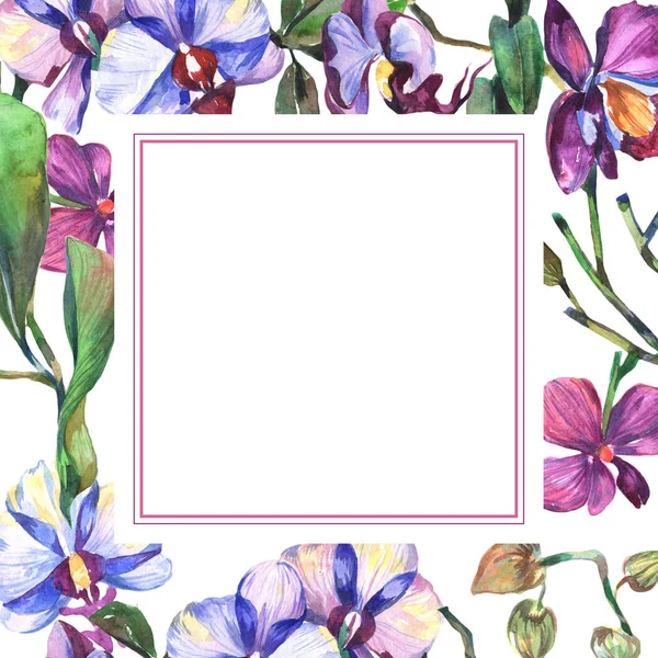 Wildflower orchid flower frame in a watercolor style.