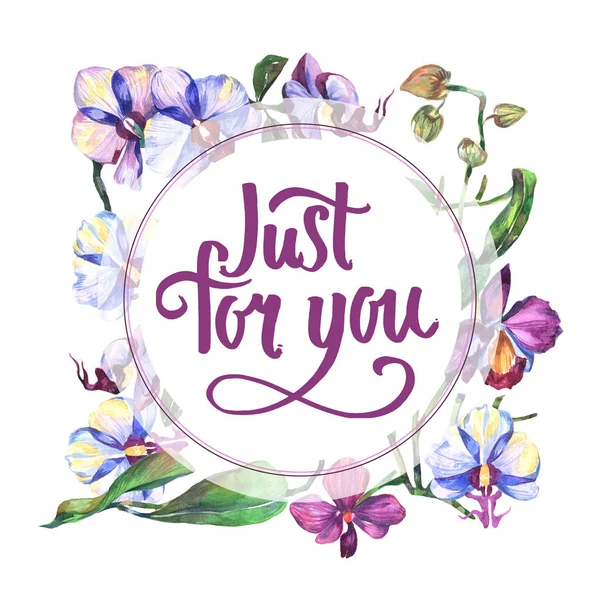 Kır çiçeği orkide çiçek çerçeve suluboya tarzında.