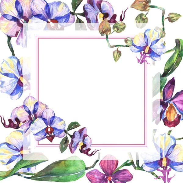 Kır çiçeği orkide çiçek çerçeve suluboya tarzında.