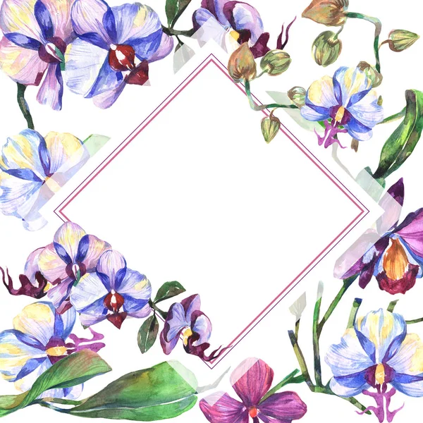 Kır çiçeği orkide çiçek çerçeve suluboya tarzında.